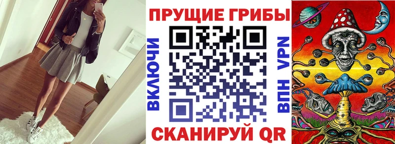 гидра как войти Певек Галлюциногенные грибы Psilocybe цена